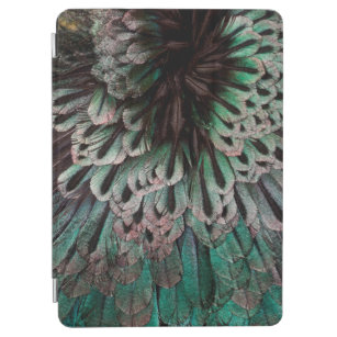 Superb Bird Of Paradise Feather Abstract iPad Air Cover