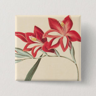 Superb Corn-Flag 15 Cm Square Badge