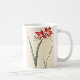 Superb Corn-Flag Coffee Mug