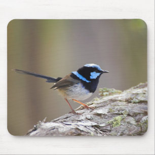 Superb Fairy-wren Mouse Mat