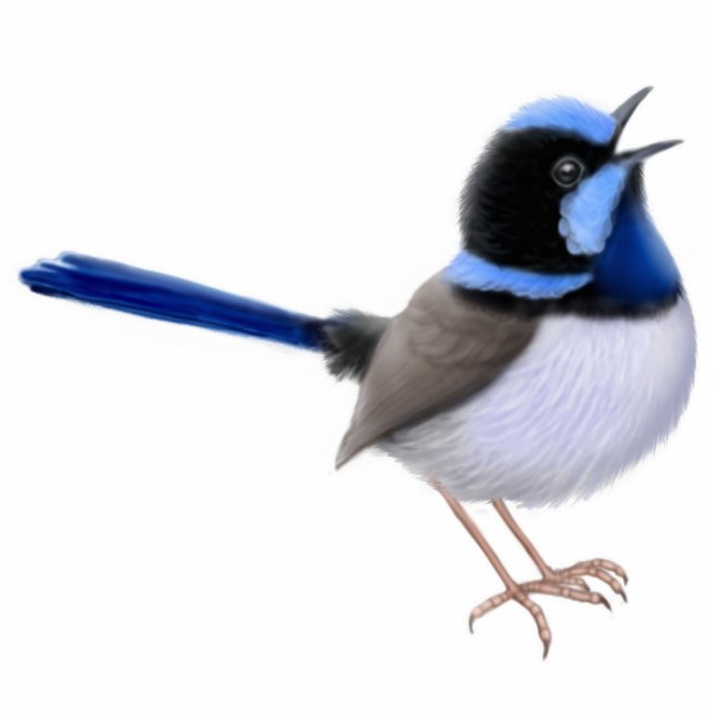 Superb Fairy Wren Ornament Photo Sculpture Decoration (Front)