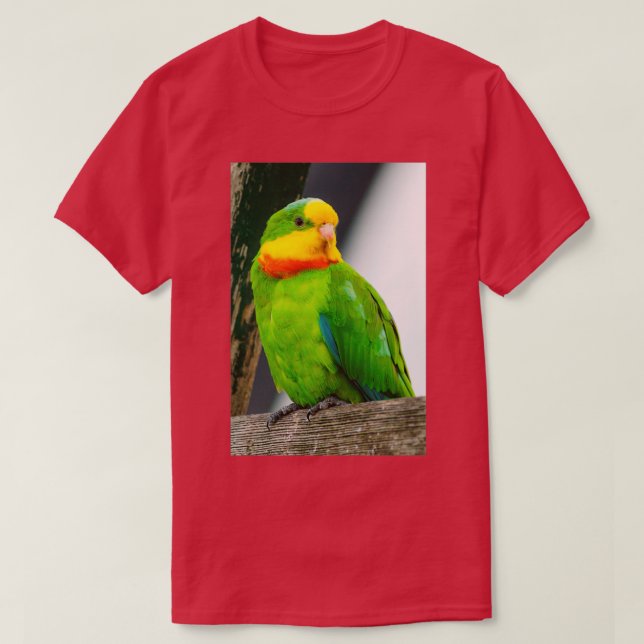 Superb Parrot 1 T-Shirt (Design Front)