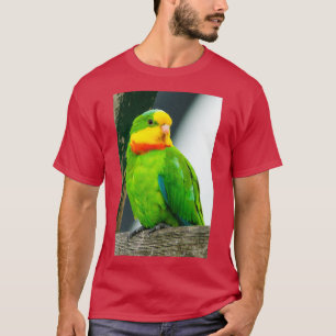Superb Parrot 1 T-Shirt