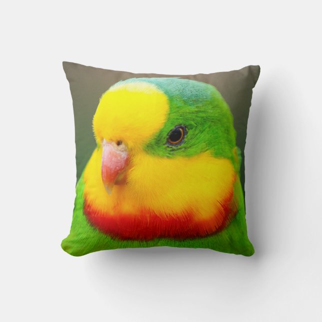 Superb Parrot Cushion (Front)