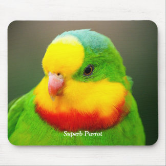 Superb Parrot Mouse Mat