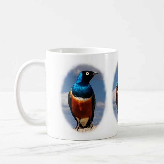 Superb starling seen from front  coffee mug (Left)