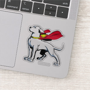 Superdog Krypto