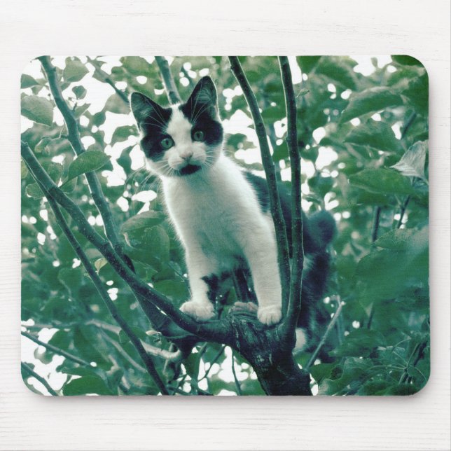 Superfluity of Naughtiness Mouse Mat (Front)