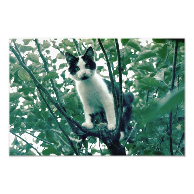 Superfluity of Naughtiness Photo Print (Front)