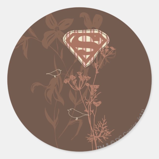 Supergirl Brown Bird Classic Round Sticker (Front)