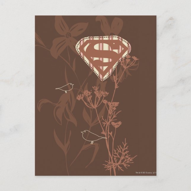 Supergirl Brown Bird Postcard (Front)