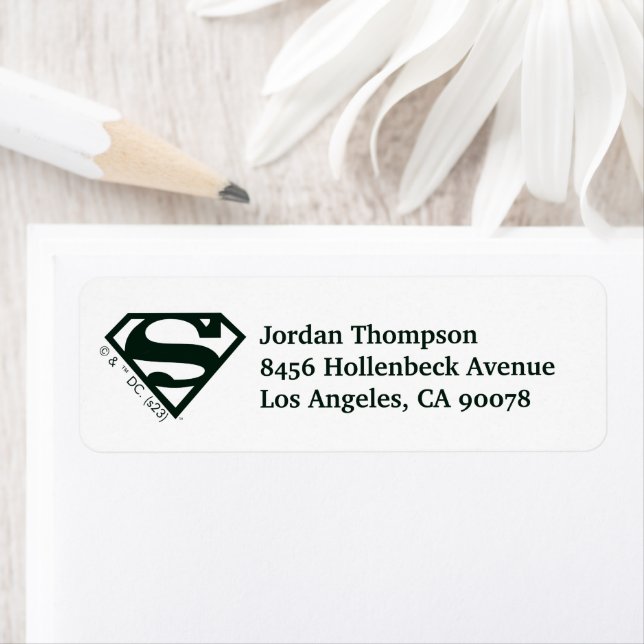 Supergirl Solid S-Shield (Insitu)