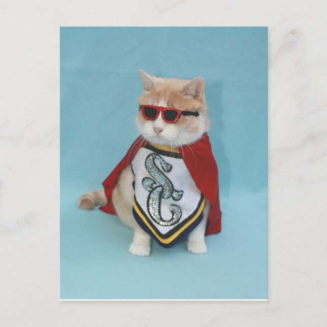 Superhero Bubba Postcard (Front)