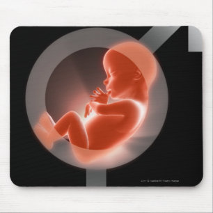 Superimposed foetus over male and female symbols mouse mat
