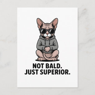 Superior Sphynx Cat Attitude Illustration Holiday Postcard