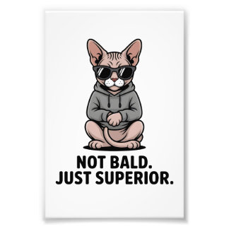 Superior Sphynx Cat Attitude Illustration Photo Print