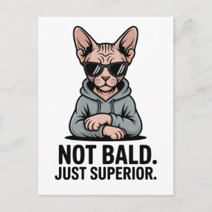 Superior Sphynx Cat Sarcastic Attitude Art Holiday Postcard
