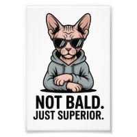 Superior Sphynx Cat Sarcastic Attitude Art