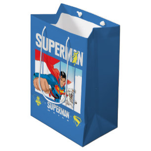 Superman and Krypto Take Flight Medium Gift Bag
