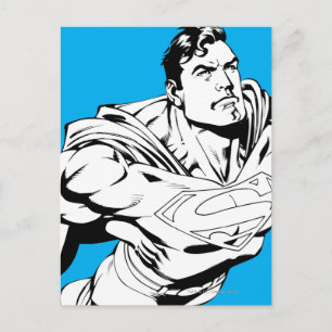 Superman Black and White 1 Postcard