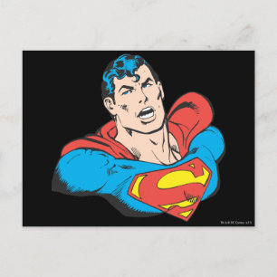 Superman Bust 1 Postcard