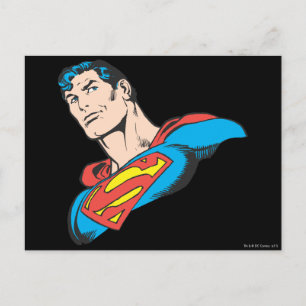 Superman Bust 3 Postcard