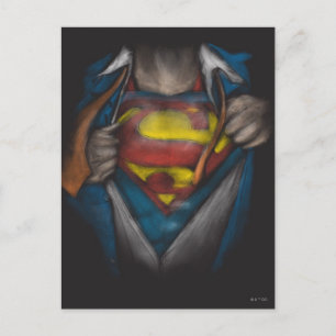 Superman Chest Reveal Sketch Colourized Postcard