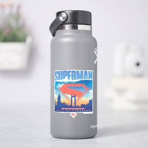 Superman Metropolis Skyline