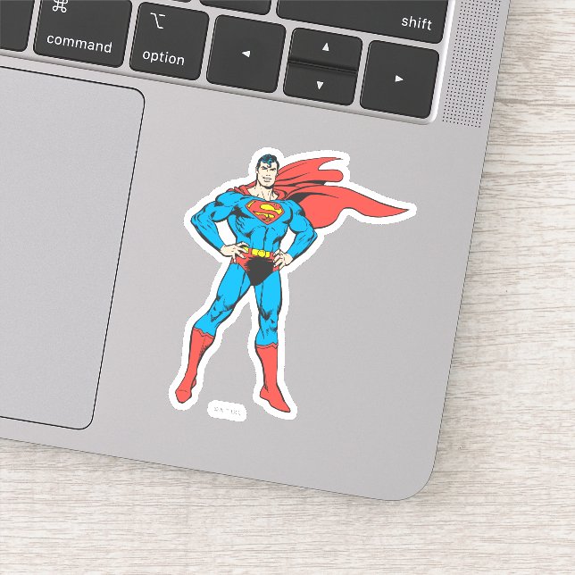 Superman Posing (Detail)