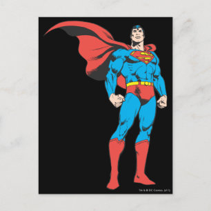 Superman Posing 3 Postcard