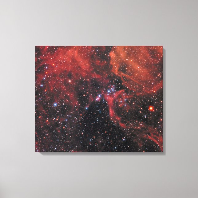 Supernova 1987A | Canvas Print (Front)