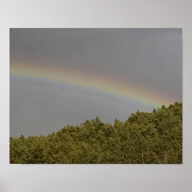 Supernumerary rainbow, above evergreen forest poster (Front)