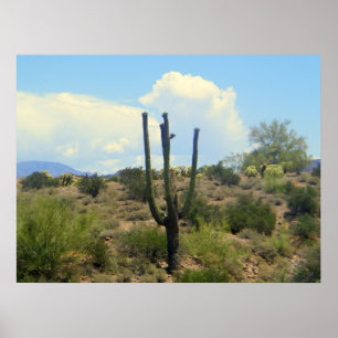 Superstion Beauty Print