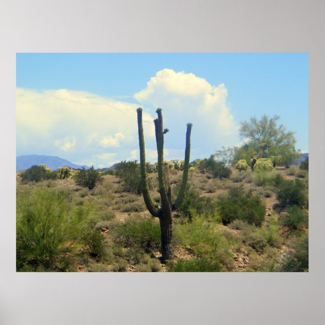 Superstion Beauty Print (Front)