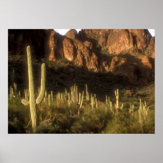 Superstition Mountain Poster
