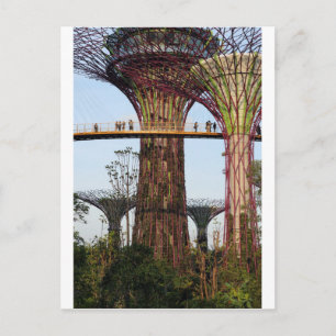 Supertree Grove Gardens By The Bay Singapore Postcard