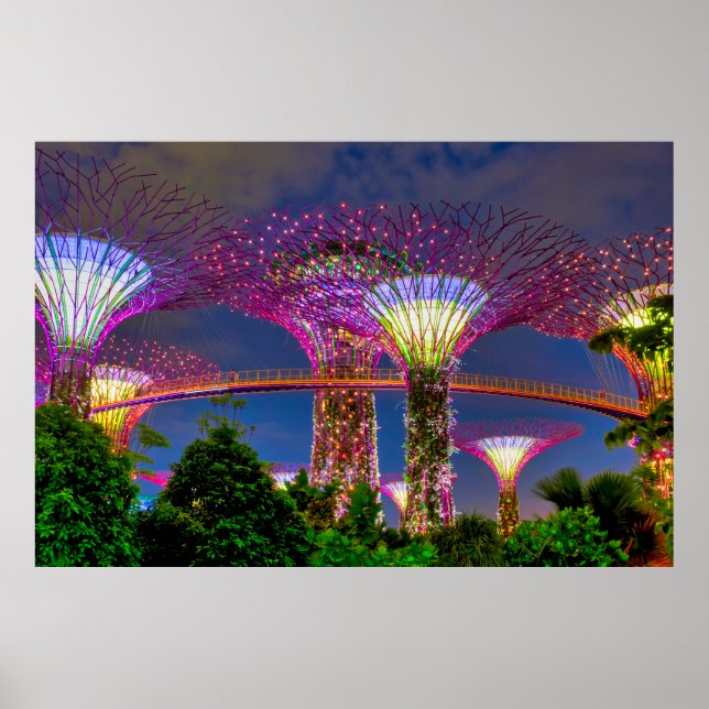 Supertree Grove  Poster (Front)