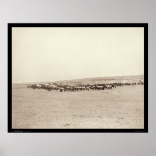 Supply Wagons & Pack Mules SD 1887 Poster