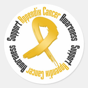 Support Appendix Cancer Awareness Classic Round Sticker