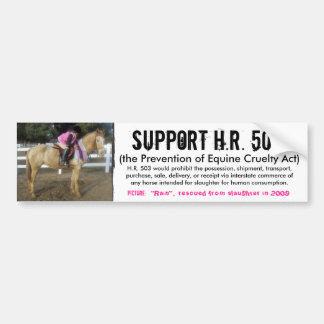 Support H.R. 503 - Prevention of Cruelty to Horses Bumper Sticker