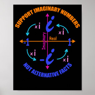 Support Imaginary Numbers Not Alternative Facts Poster