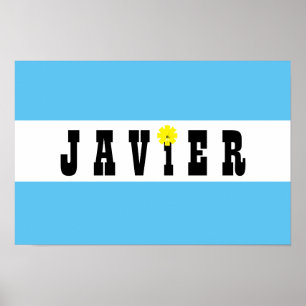 Support Javier Milei President of Argentina Yes! Poster
