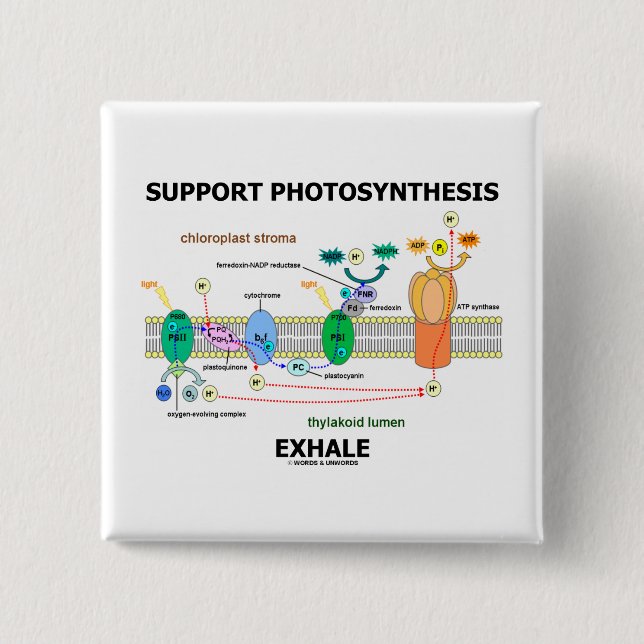 Support Photosynthesis Exhale (Biochemistry 15 Cm Square Badge (Front)