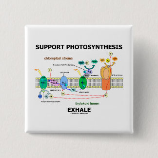 Support Photosynthesis Exhale (Biochemistry 15 Cm Square Badge