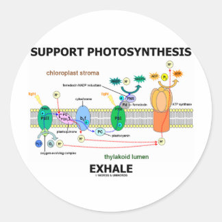 Support Photosynthesis Exhale (Biochemistry Humour Classic Round Sticker