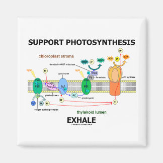 Support Photosynthesis Exhale (Biochemistry Humour Magnet
