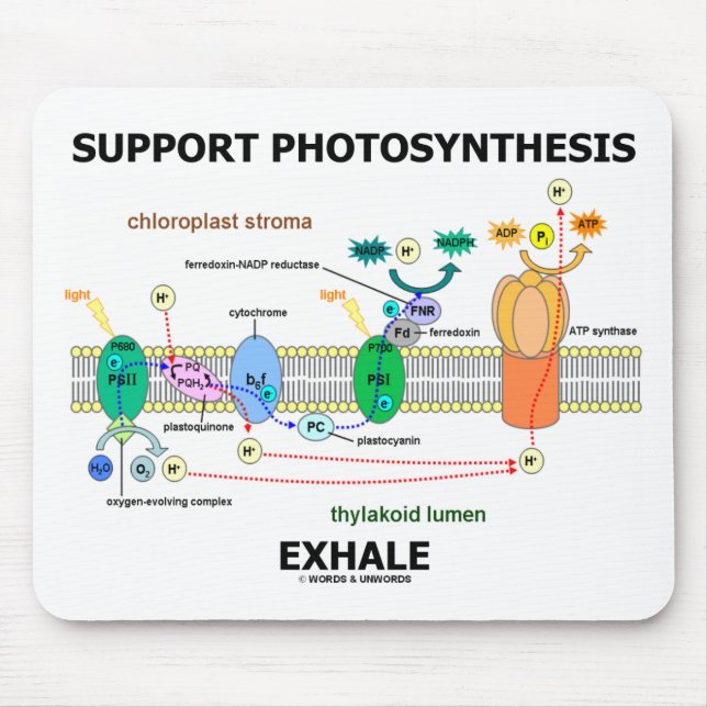 Support Photosynthesis Exhale (Environmental) Mouse Mat (Front)