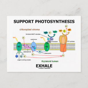 Support Photosynthesis Exhale (Environmental) Postcard