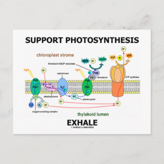 Support Photosynthesis Exhale (Environmental) Postcard