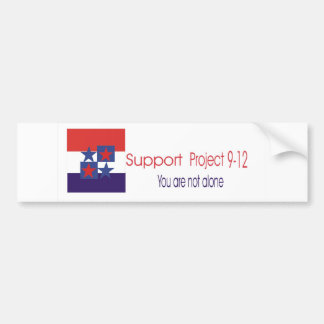 Support project 9-12 bumper sticker